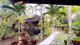 Walkthrough of Sunset at the Palms in Negril JAMAICA .