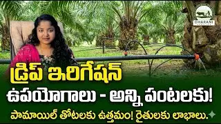Drip Irrigation System | Subsidy For farmers | 7207360011 #viral #viralvideo #viralshorts #agri