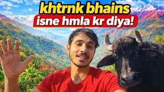 bhains dekh lo guyzs...😁 | uttrakhand village life | Ayuz Singh