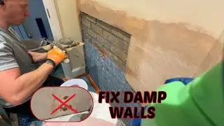 How to Fix Damp Plaster Like a Pro &ndash; Step-by-Step Guide!