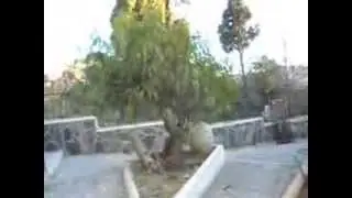 KALAA ATH ABBAS مسجد قلعة بني عباس