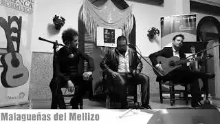 Jos&eacute; Anillo por Malague&ntilde;as del Mellizo