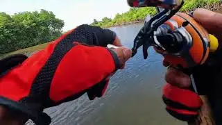 C&acirc;u c&aacute; chẽm với ima sasuke 75 gật gật l&agrave; lượm