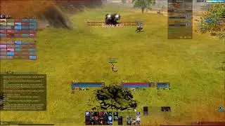 Snowlion gang