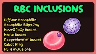 RBC Inclusions Simplified | Diffuse Basophilia, Howell-Jolly, Heinz, Pappenheimer, Cabot Rings