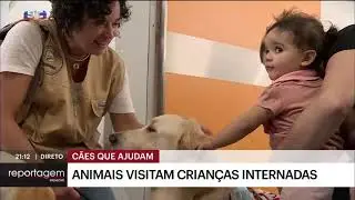 terapia assistida por animais imagens que falam por si   sic not 540p 1