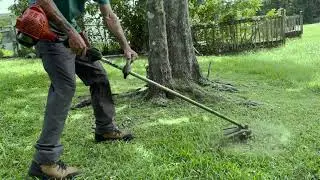 Fast Lawn Cleanup x2 | Weed Whack & Mow Combo
