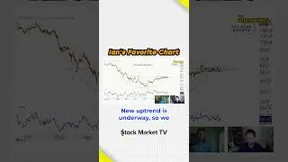 Should You Buy Stock Of 10x Genomics $TXG? | The Morning Show
