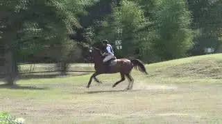 CORA FLORINA B & J&ouml;rg Brinkmann - Turnier Greven 2019 Gel&auml;ndepferdepr&uuml;fung Kl. L