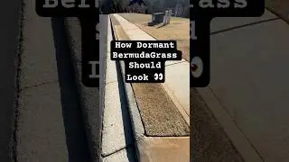 How your Dormant BermudaGrass should look.