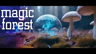 Magical Fores 4K
