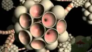 Asbestos Removal? Which Helps In Staying Fit - Fremont CA