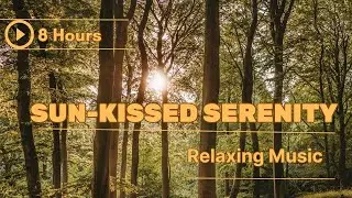 8 Hours of Sun-Kissed Serenity: A Forest Bathed in Light #relaxingmusic