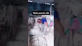 cewek klo lagi ngambek..