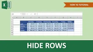 How To Hide Rows In Excel | Beginner Tutorial