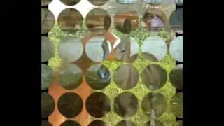 ريحانه العامر.wmv