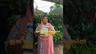 How to use growing fertilizer 7034016968#npk191919 #suluzdiaries #plants #basfoliar #basfoliarnpk