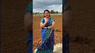 Why Investors Are Choosing Sandalwood Farmland Near Bangalore #farming #farmland