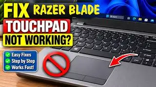 FIX Razer Blade Laptop MOUSE Touchpad NOT Working WINDOWS Stealth 15 17 14 RazerBlade Trackpad Stop)