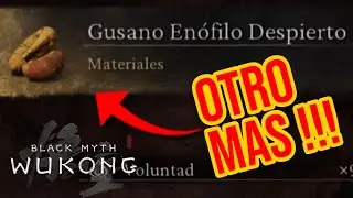 WUKONG - OTRO GUSANO ENOFILO DESPIERTO