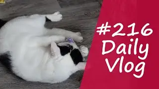 #216 - dm Paket HAUL - Daily Vlog - EINFACH Kathrin