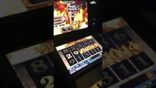 Red hot Firepot Gold 33 cgs