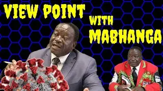 Victor Matemadanda - Commissar or comedian?