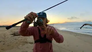 FISHING A BEACH GUTTER WITH SUPER LIGHT GEAR!!! (FLATHEAD + TARWHINE)
