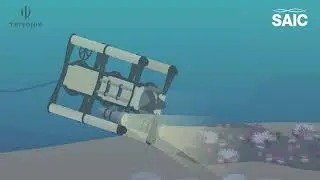 Using 3D models to study aquaculture&rsquo;s impact on rocky seabeds