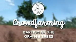 Crowdfarming&reg;: Baptism of the orange trees (please display subtitles)