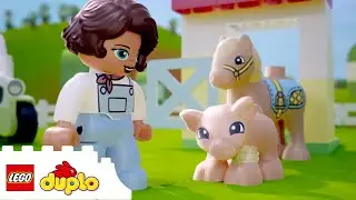 Animal Care + More | Kids Show | Cartoon for Kids | Fun with LEGO DUPLO