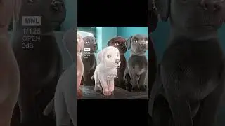 SMALL DOG WITH BIG DREAM | #shorts