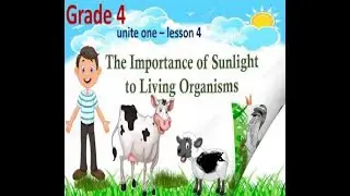 Science Vocabulary  G4  Unit One  Lesson 4 The importance of sunlight to living organisms