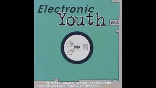 Various &ndash; Electronic Youth Vol 1 [1993] (FULL ALBUM)