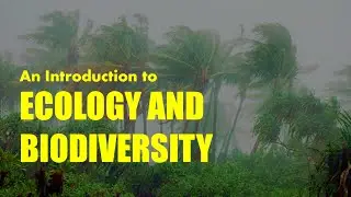 Ecology & Biodiversity, Environment, Biotic & Abiotic Factors Explained!