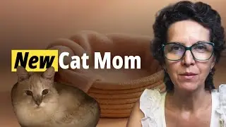Я стала мамой кошки | Что бы я теперь делала по-другому благодаря моей кошке 🐾🤍
