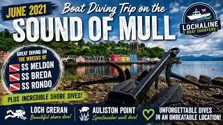 Diving the Sound of Mull | June 2021