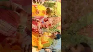 Halad Fednyacha Karyakaram || Marathi Wedding || Marathi lagn