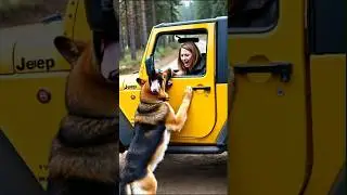 A dog signals danger to humans 😱 #animals #dog #rescue #wildlife #dangerous