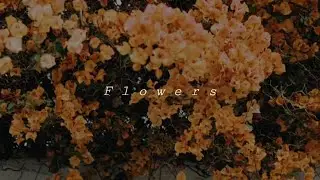 Rick Archie - Flowers