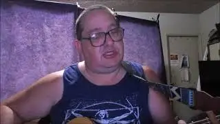 Guitar Vocal Cover Aimee Mann Ghost World Guitars Vocals Sing Singing