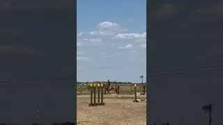 Как правильно залазить на лошадь #horse #animals #馬 #말씀 #마리오네트 #sport #top  #training