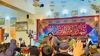 |بین الااقوامی شہرتِ یافتہ شیر عباس آف حیدرآباد|#tranding #unfrezzmyaccount #art #yaali 