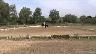 MOV047