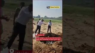 Noida Raid: 100 Kg Paneer & 450 Kg Adulterated Khoya Seized and Destroyed by Food Safety Dept