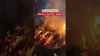 A deadly walk in the fire - Phalen Holika Dahan #holi #festival #brajkiholi #theartofvisuals