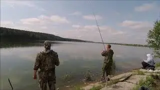 Клюет одна за одной.  Бузим . Июль 2019.