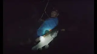 traira grande gosta da noite!!!