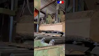 🌳🪵 Quand l&rsquo;arbre devient #bois !Dans les coulisses 👀 d&rsquo;une scierie. 🎶onfayaofficial #for&ecirc;t