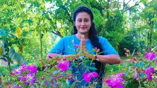 Thanksgiving|❤ | Poorna - The nature girl |
